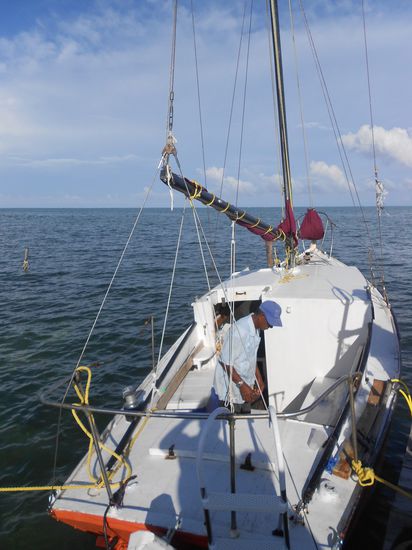 Die segelnde Nussschale mit Papa - Joe 