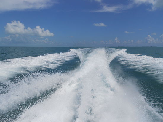 Abschied aus Caye Caulka...