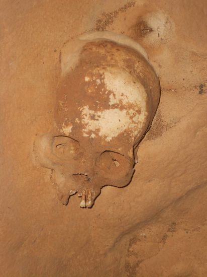 Dann mal ein Schaedel auf dem Weg 