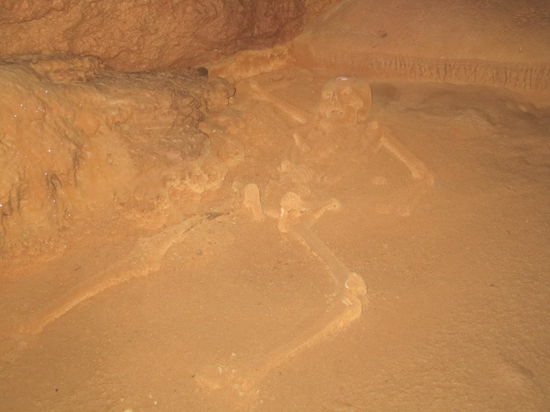 Skelett eines "beruehmten Mädchens"