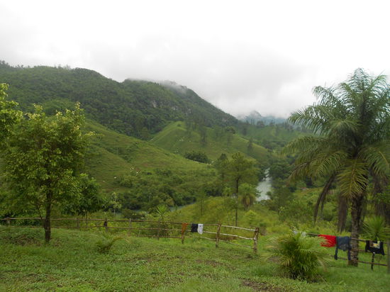 Die Aussicht am Morgen!