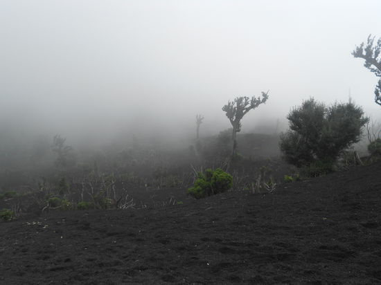 Wie auf einem anderen Planeten 