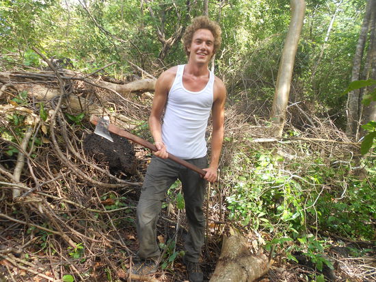 Beim Brennholz schlagen!