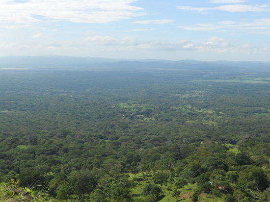 Irgendwo in Mitten des Waldes befindet sich "Agua Agrias"