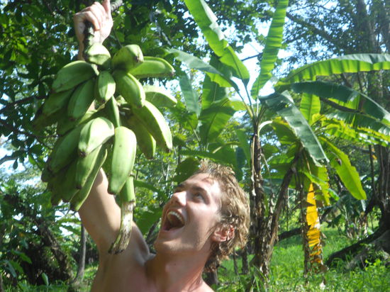 Bananen gab s ueberall...