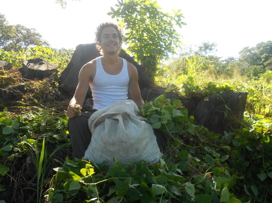 Beim Bohnen pfluecken...