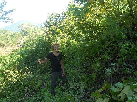 Bei der Arbeit mit Machete!