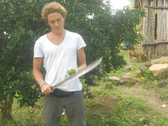 Siesta hab ich immer unter dem Orangenbaum gemacht 