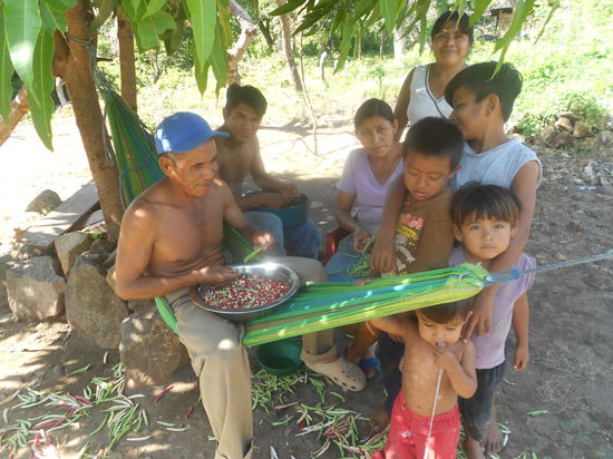 Die Familie beim Bohnen sortieren...