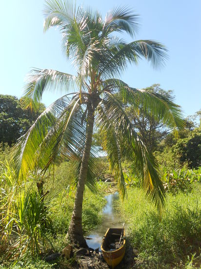 Die Verbindung zu einer anderen Insel...