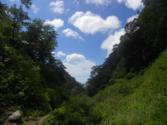 Die Aussicht vom Wasserfall