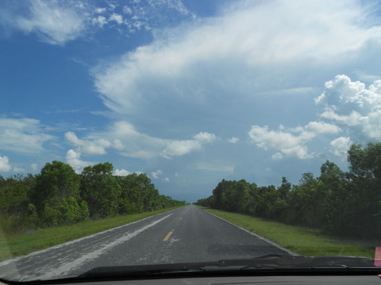 Fahrt durch die Everglades...