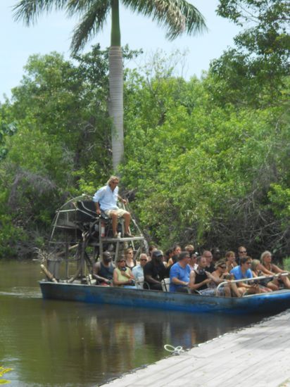 Airbootfahrt durch die Mangroven!!