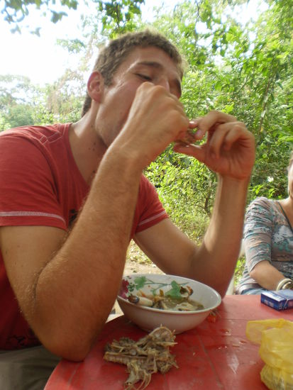 Besonders einem hat der Leguan gut geschmeckt - Sepp 