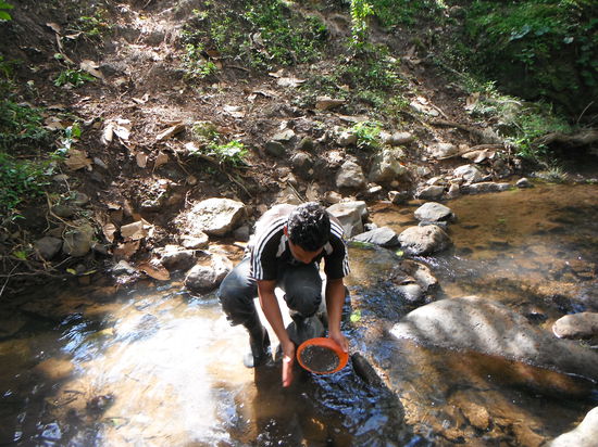 Auf Goldsuche in einem der Baeche!