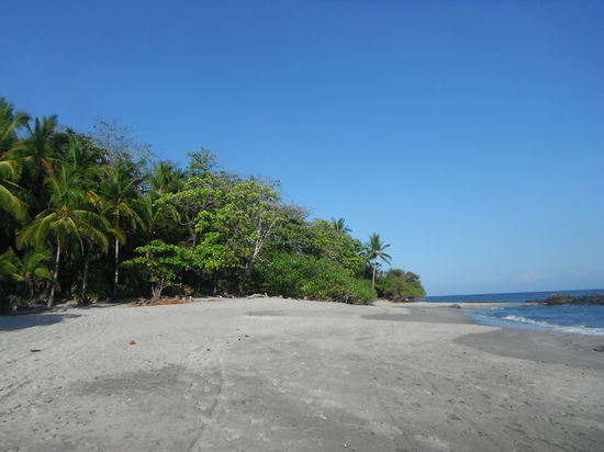Der schoenste Strand in Costa Rica - Montezuma!