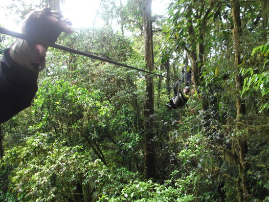 An den Stahlseilen gings durch den Urwald!