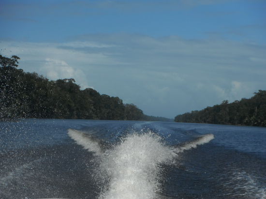 Mit dem Speedboot ging s weiter nach Puerto Viejo!