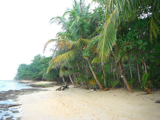 Der Strand von Puerto Viejo!