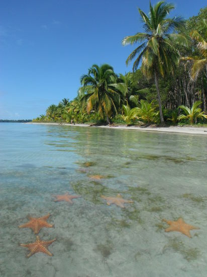 Eine grosse Badewanne mit dutzenden Seesternen !