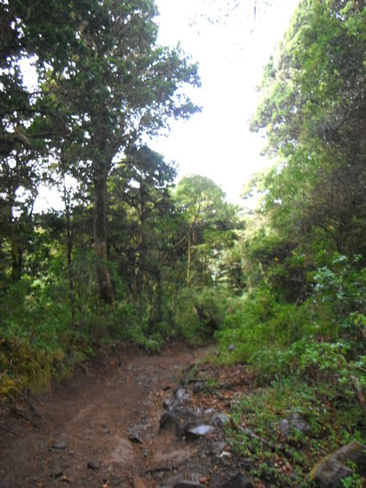 Beim Abstieg konnten wir erstmals die Landschaft bestaunen!