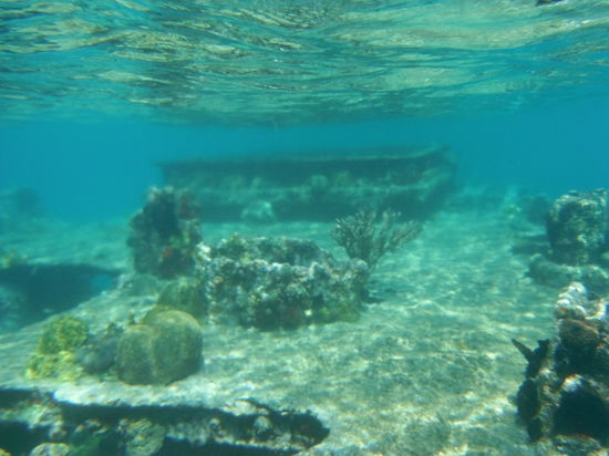 Das Wrack, welches sich perfekt zum Schnorcheln eignete!