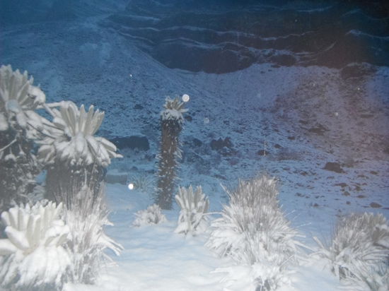 Am Morgen dann die grosse Ueberraschung!