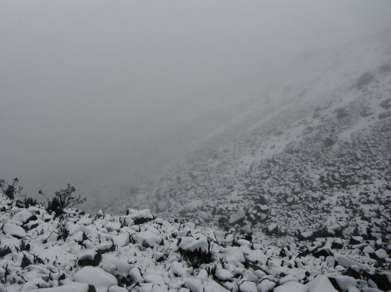 Ein Pfad war kaum noch zu erkennen, doch wir kaempften weiter 