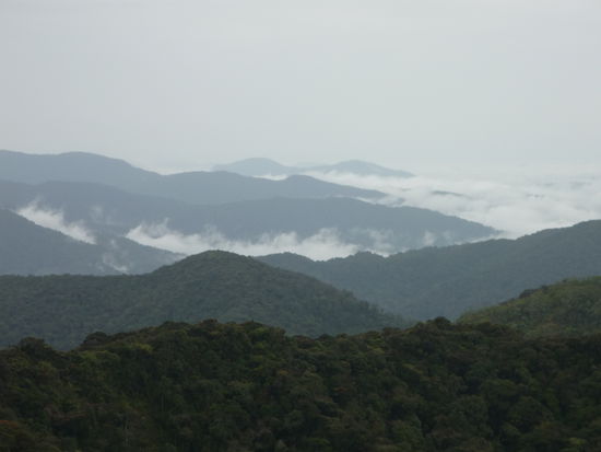 Bei schönem Wetter hätte man wohl noch mehr gesehen - Schade 