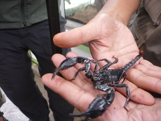 Unser mutiger Guide, der uns die Tiere ganz nah gezeigt hat