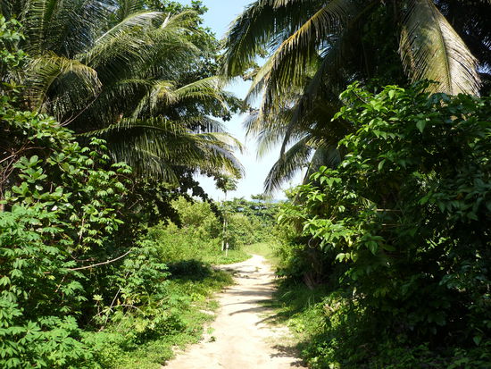 Der Weg von unserem Chalet zum Strand