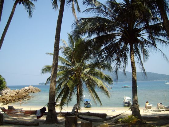 und nochmal weils so schön aussah - D'Lagoon mit Palmen