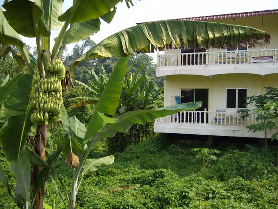 Das Yellow Guesthouse