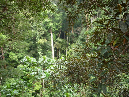 Ausblick von der Plattform