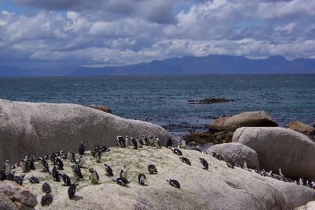 Boulders Beach
