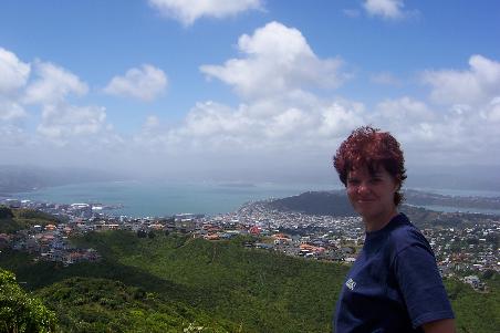 Blick ueber Wellington
