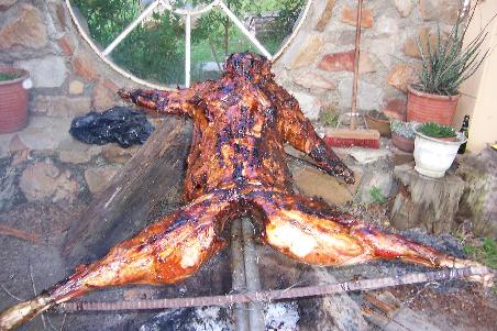 Zum "Braai" gab es dieses leckere Wildschwein!