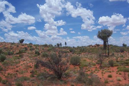 Dieses Landschaftsbild zog sich ueber die gesamten 500km hin bis zum Ayers Rock!