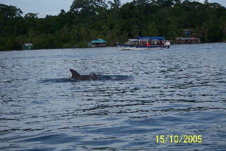 Dolphin Bay...
