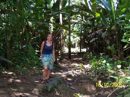 through the jungle..