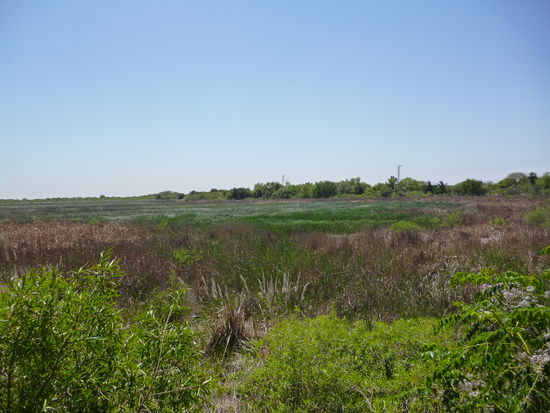 Ist eigentlich noch viel groesser aber das hat meine Kamera nicht geschafft