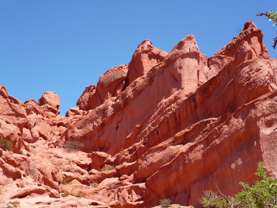 fucking red ... i had to climb at the top 