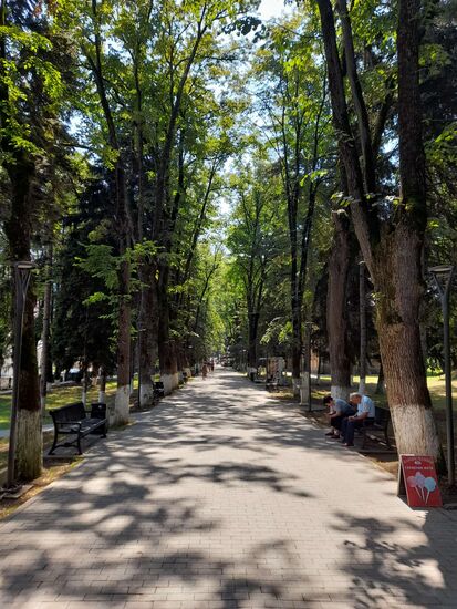 Borjomi Park