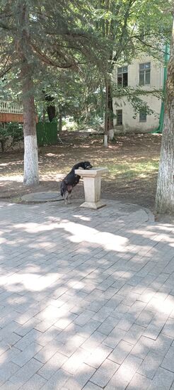 Überall Trinkbrunnen für Alle 