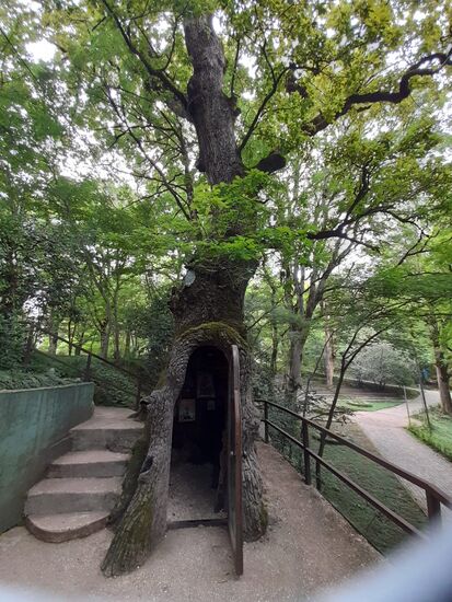 Kleine Kapelle im botanischen Garten Kutaisi