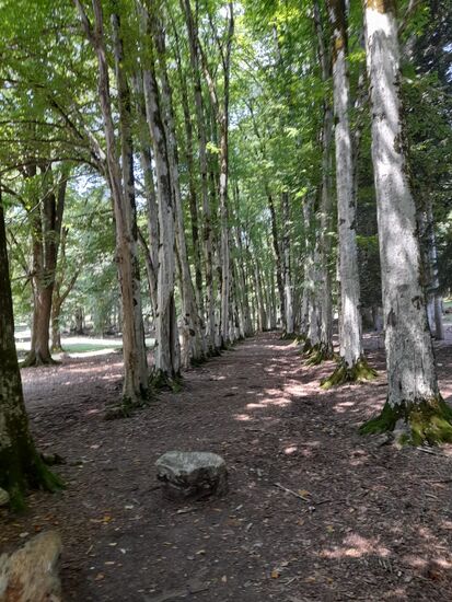 Allee am Okanse Canyon