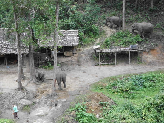 Elephant Spezial Tours Camp 1
