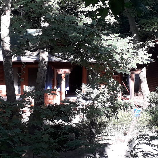 unser "Dschungel-Bungalow" im Hotel "Iliria"