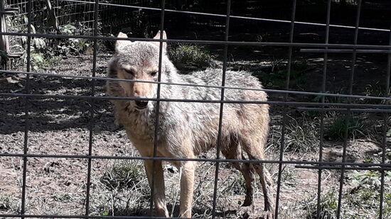 Alle waren weg- und er kam zum Fototermin
