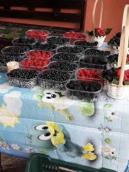 Überall leckere Beeren